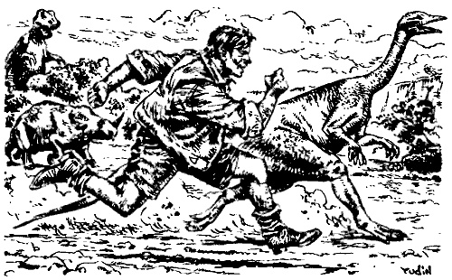 Иллюстрация к книге — Затерянная Динотопия [i_015.jpg]