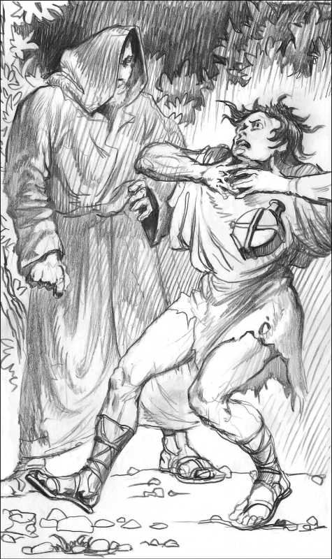 Иллюстрация к книге — Легат [g5.jpg]