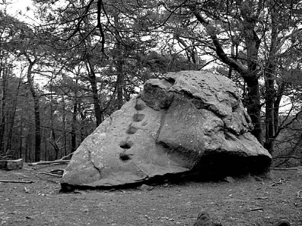 Иллюстрация к книге — Тайная миссия Третьего Рейха [i_086.jpg]