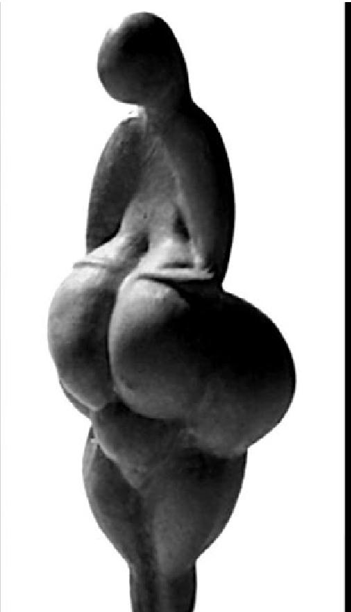 Иллюстрация к книге — Тайная миссия Третьего Рейха [i_111.jpg]