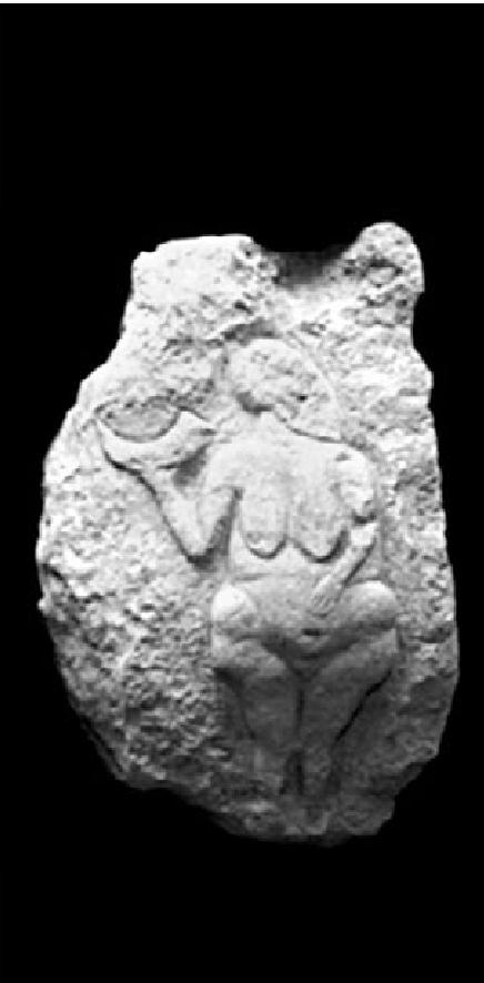 Иллюстрация к книге — Тайная миссия Третьего Рейха [i_112.jpg]