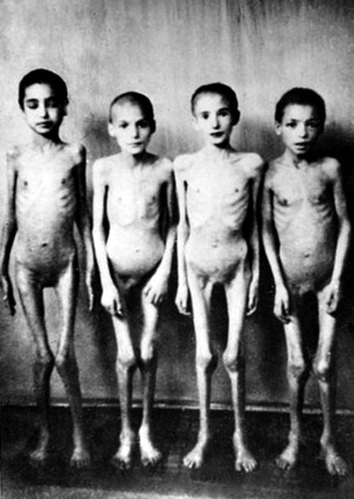 Иллюстрация к книге — Тайная миссия Третьего Рейха [i_142.jpg]