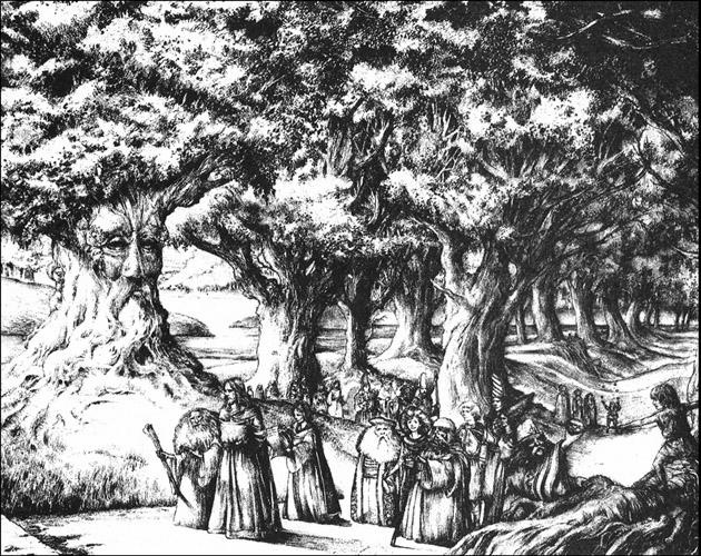 Иллюстрация к книге — Последний дракон [i_019.jpg]