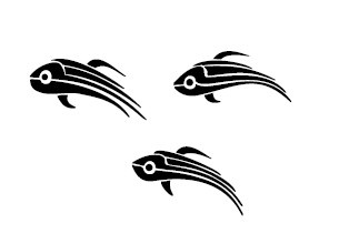 Иллюстрация к книге — Аквасфера [i_016.jpg]