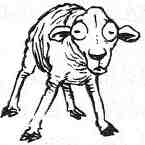 Иллюстрация к книге — Вильям и волки [i_002.jpg]