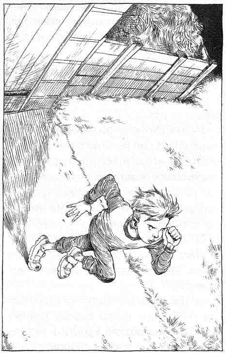 Иллюстрация к книге — Вильям и волки [i_015.jpg]