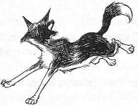 Иллюстрация к книге — Вильям и волки [i_024.jpg]