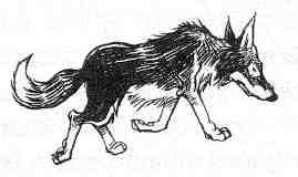 Иллюстрация к книге — Вильям и волки [i_030.jpg]