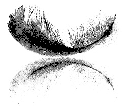 Иллюстрация к книге — Нимб [i_001.jpg]