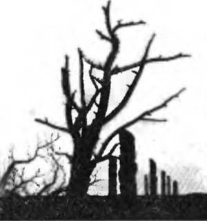 Иллюстрация к книге — Воскрешение Майя [i_001.jpg]