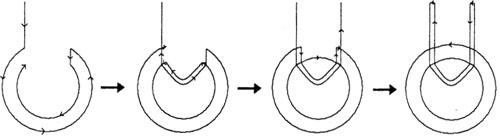 Иллюстрация к книге — Последний элемент [img16.jpg]