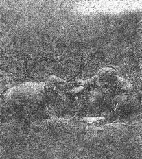 Иллюстрация к книге — Русские диверсанты против &quot;кукушек&quot; [i_004.jpg]