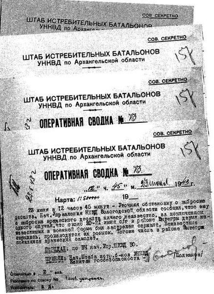 Иллюстрация к книге — Русские диверсанты против &quot;кукушек&quot; [i_011.jpg]