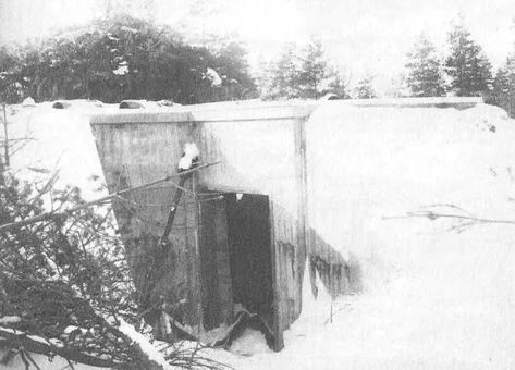 Иллюстрация к книге — Русские диверсанты против &quot;кукушек&quot; [i_024.jpg]