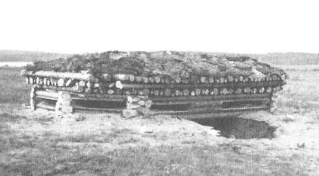 Иллюстрация к книге — Русские диверсанты против &quot;кукушек&quot; [i_056.jpg]