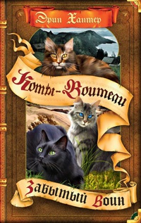 Книга Забытый воин