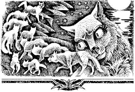 Иллюстрация к книге — Миссия Огнезвезда. Книга 1. Искупление [i_010.jpg]