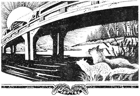 Иллюстрация к книге — Миссия Огнезвезда. Книга 1. Искупление [i_014.jpg]