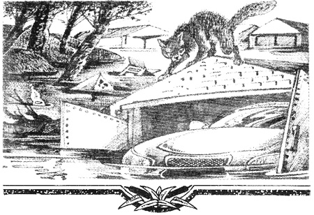 Иллюстрация к книге — Миссия Огнезвезда. Книга 1. Искупление [i_016.jpg]