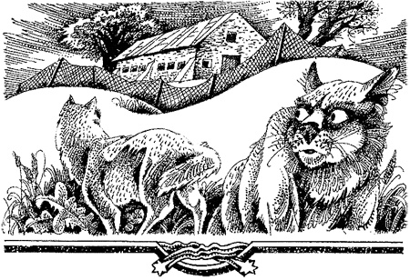 Иллюстрация к книге — Миссия Огнезвезда. Книга 1. Искупление [i_022.jpg]