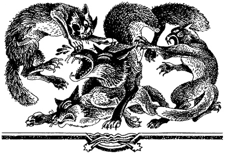 Иллюстрация к книге — Миссия Огнезвезда. Книга 2. Возрождение [i_005.jpg]