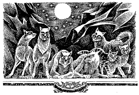 Иллюстрация к книге — Миссия Огнезвезда. Книга 2. Возрождение [i_007.jpg]