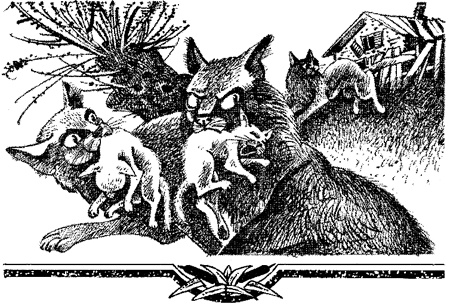 Иллюстрация к книге — Миссия Огнезвезда. Книга 2. Возрождение [i_010.jpg]