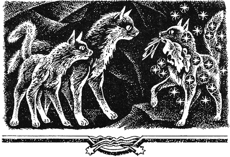 Иллюстрация к книге — Миссия Огнезвезда. Книга 2. Возрождение [i_012.jpg]