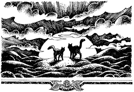 Иллюстрация к книге — Миссия Огнезвезда. Книга 2. Возрождение [i_019.jpg]