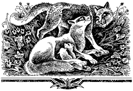 Иллюстрация к книге — Миссия Огнезвезда. Книга 2. Возрождение [i_020.jpg]