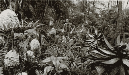 Иллюстрация к книге — Аватар Джеймса Кэмерона. В поисках На&#039;ви [i_007.jpg]