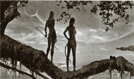 Иллюстрация к книге — Аватар Джеймса Кэмерона. В поисках На&#039;ви [i_014.jpg]