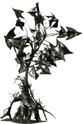 Иллюстрация к книге — Аватар Джеймса Кэмерона. В поисках На&#039;ви [i_017.jpg]