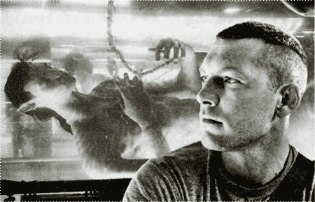 Иллюстрация к книге — Аватар Джеймса Кэмерона. В поисках На&#039;ви [i_019.jpg]