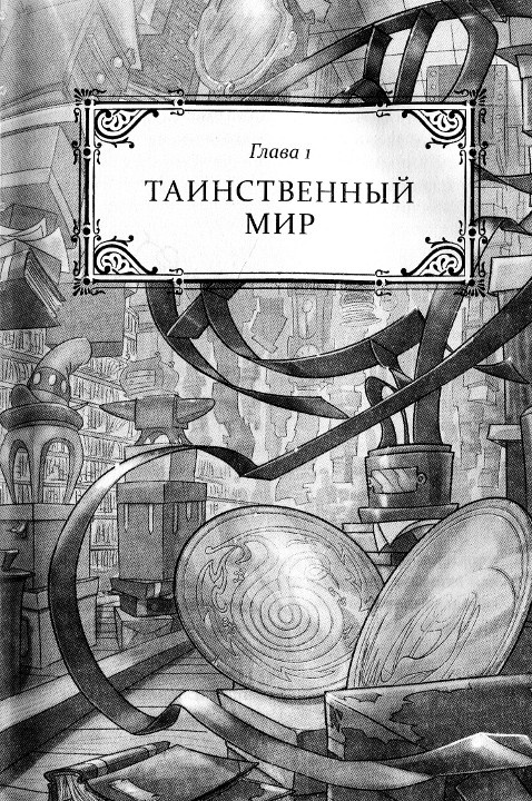 Иллюстрация к книге — Иллюзионист. Нэш Блейз в Лавке Чудес [i_001.jpg]