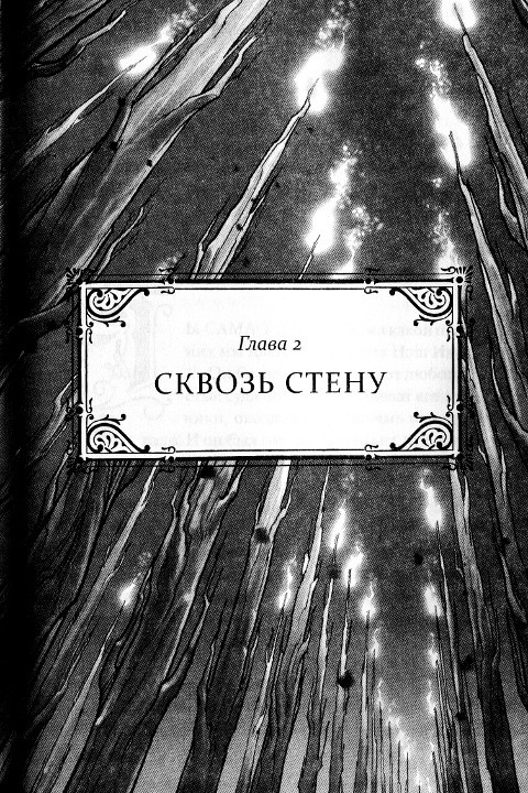 Иллюстрация к книге — Иллюзионист. Нэш Блейз в Лавке Чудес [i_002.jpg]