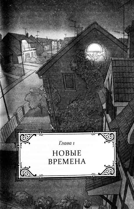 Иллюстрация к книге — Иллюзионист. Нэш Блейз в параллельном мире [i_001.jpg]