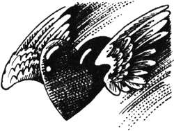 Иллюстрация к книге — Избранница [i_010.jpg]