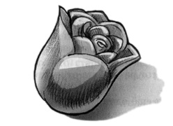 Иллюстрация к книге — В поисках йети [img24.jpg]