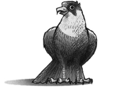 Иллюстрация к книге — В поисках йети [img30.jpg]