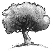 Иллюстрация к книге — В поисках йети [img5.jpg]