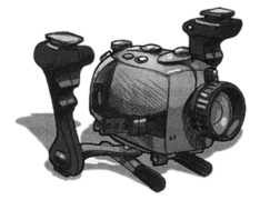 Иллюстрация к книге — Жемчужина дракона [img10.jpg]