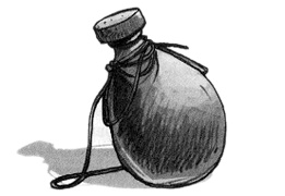 Иллюстрация к книге — Жемчужина дракона [img24.jpg]