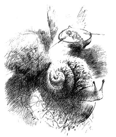 Иллюстрация к книге — Улитка в тарелке [i_002.jpg]