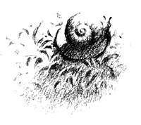 Иллюстрация к книге — Улитка в тарелке [i_003.jpg]