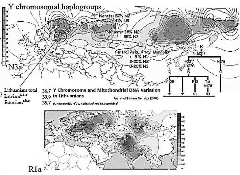 Иллюстрация к книге — Русские - не славяне? [i_004.jpg]