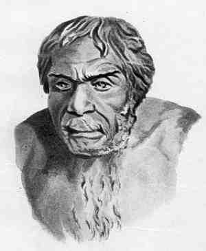 Иллюстрация к книге — Русские - не славяне? [i_005.jpg]