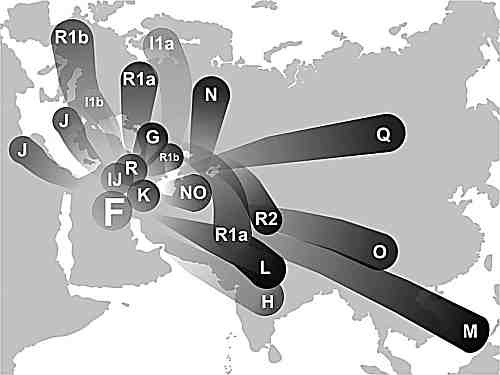 Иллюстрация к книге — Русские - не славяне? [i_006.jpg]