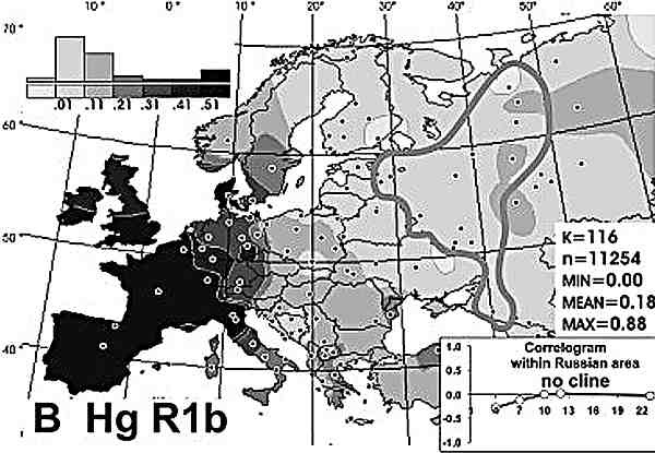 Иллюстрация к книге — Русские - не славяне? [i_010.jpg]
