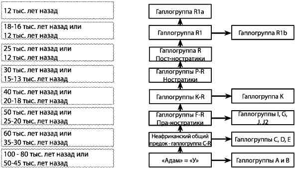 Иллюстрация к книге — Русские - не славяне? [i_012.jpg]